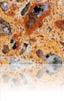 Silestone Amarillo Palmira Amarillo Palmira