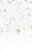 Silestone Blanco Maple Blanco Maple