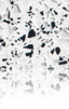 Silestone White Platinium White Platinium
