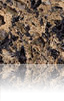 Silestone Brazilian Brown Brazilian Brown