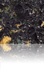 Silestone Rain Forest Rain Forest