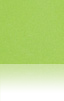 Silestone Verde Fun Bianco Verde Fun